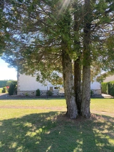 Vaste propriété aux portes d'Aurillac.