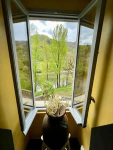 Maison à vendre 2 pièces VIEILLEVIE (15)