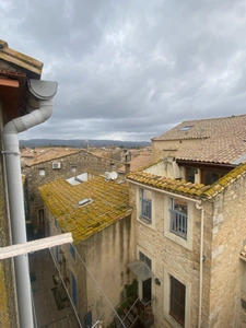 RARE......UNE MAISON: 2 APPARTEMENTS. UNE TERRASSE avec VUE SUR ETANG. PORTE OUVERTE LE SAMEDI 22 AOUT A 10HOO