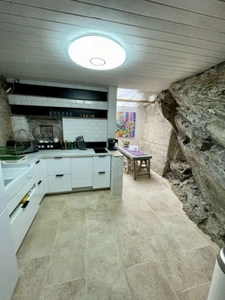 Maison à vendre 2 pièces VIEILLEVIE (15)