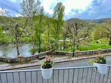 Maison à vendre 2 pièces VIEILLEVIE (15)