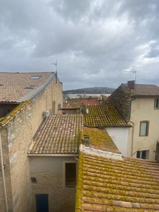 RARE......UNE MAISON: 2 APPARTEMENTS. UNE TERRASSE avec VUE SUR ETANG. PORTE OUVERTE LE SAMEDI 22 AOUT A 10HOO