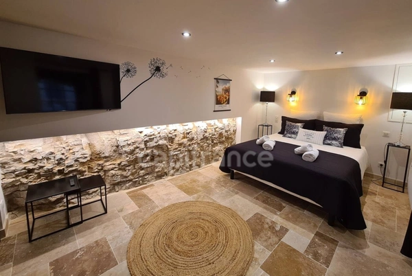 Ensemble en pierre totalemernt rénové 220m² - 12 couchages - activité gîte immédiate - Périgord Noir