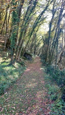 A vendre. Ensemble de 250m² à Tursac (24) avec maison d'habitation, gîte, piscine lagon sur près de 1,5 hectares de terrain en partie boisé. possibilité de création d'une auberge. Source. Géothermie