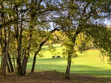 Exceptional Equestrian Estate Set on 21 Hectares close to THEZAC (47)