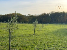 Exceptional Equestrian Estate Set on 21 Hectares close to THEZAC (47)