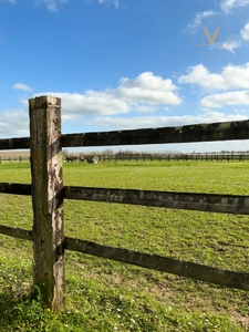 High-End Equestrian Property – Premium Facilities – 5 Hectares  close to Moissac (82)
