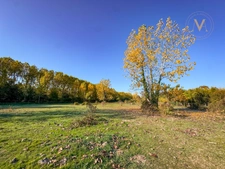 Propriété équestre de charme sur 5 hectares, offrant une spacieuse demeure familiale dans un cadre naturel préservé proche de MERLES (82)
