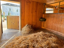 Exceptional Equestrian Estate Set on 21 Hectares close to THEZAC (47)