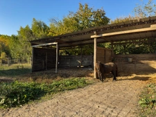 Propriété équestre de charme sur 5 hectares, offrant une spacieuse demeure familiale dans un cadre naturel préservé proche de MERLES (82)