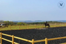 Exceptional property where horses are at the heart of everyday life, located near Tournon-d’Agenais (Lot-et-Garonne).