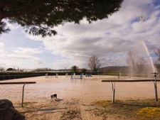 High-End Equestrian Property – Premium Facilities – 5 Hectares  close to Moissac (82)