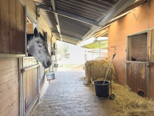 High-End Equestrian Property – Premium Facilities – 5 Hectares  close to Moissac (82)