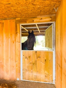 Exceptional Equestrian Estate Set on 21 Hectares close to THEZAC (47)