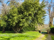 High-End Equestrian Property – Premium Facilities – 5 Hectares  close to Moissac (82)