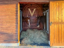 Propriété d’exception où chaque détail a été pensé pour le cheval… et pour ceux qui l’aiment proche de LAPLUME (47)