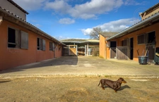 High-End Equestrian Property – Premium Facilities – 5 Hectares  close to Moissac (82)