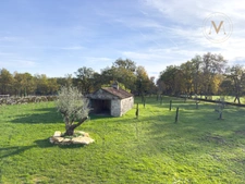 Exceptional Equestrian Estate Set on 21 Hectares close to THEZAC (47)