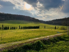 Domaine équestre de prestige au cœur de 18 hectares – Élégance, nature et art de vivre proche de THEZAC (47)