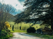 Domaine équestre de prestige au cœur de 18 hectares – Élégance, nature et art de vivre proche de THEZAC (47)