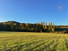 Delightful Country Home – A Tranquil Rural Haven Near Saint-Matré (46)