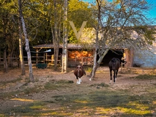 Propriete à vendre 10 pièces TOURNON D'AGENAIS (47)