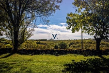 Exceptional property where horses are at the heart of everyday life, located near Tournon-d’Agenais (Lot-et-Garonne).