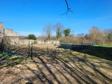 DPT ALLIER (03) FORET DE TRONCAIS - PROCHE LURCY LEVIS - MAISON 4 PIECES - POTAGER - ARBRES FRUITIERS - TERRAIN 3871 m2 