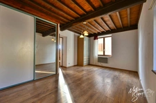 Village house with garden in CHAUSSAN (69)