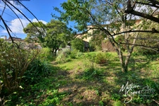 Village house with garden in CHAUSSAN (69)