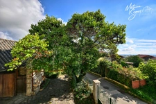 Village house with garden in CHAUSSAN (69)