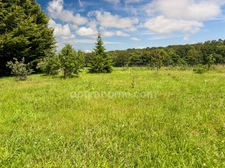 Authentique longère rénovée de 215 m2 – 5 chambres – Terrain arboré de 3000m2 au calme absolu