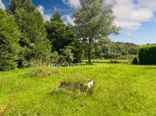Authentique longère rénovée de 215 m2 – 5 chambres – Terrain arboré de 3000m2 au calme absolu