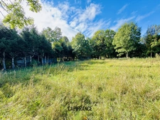 Terrain viabilisé de 680 m² - SAINT-JULIEN-EN-CHAMPSAUR (05)