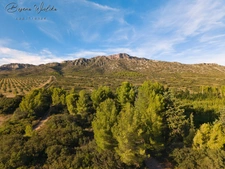 HOTEL PARTICULIER À VENDRE - 22 PIÈCES - SUD DE LA FRANCE - MOURIES (13)