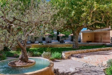 HOTEL PARTICULIER À VENDRE - 22 PIÈCES - SUD DE LA FRANCE - MOURIES (13)