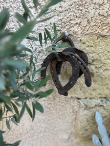 Bastide Old Mill in SALON DE PROVENCE (13) 400 m² and more than 4000 m² of land 