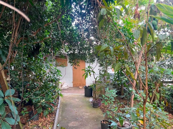 Maison à vendre T4 SAINT GILLES LES HAUTS (974)