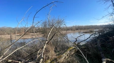 Terrain bord de Loire + d'1hectare proche de NEVERS FOURCHAMBAULT LA CHARITE SUR LOIRE (58)