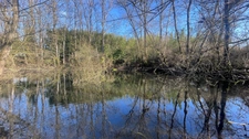 Terrain bord de Loire + d'1hectare proche de NEVERS FOURCHAMBAULT LA CHARITE SUR LOIRE (58)