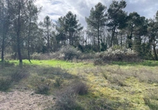 Terrain bord de Loire + d'1hectare proche de NEVERS FOURCHAMBAULT LA CHARITE SUR LOIRE (58)