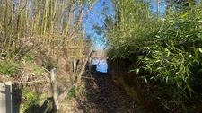 Terrain bord de Loire + d'1hectare proche de NEVERS FOURCHAMBAULT LA CHARITE SUR LOIRE (58)
