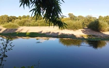 Terrain bord de Loire + d'1hectare proche de NEVERS FOURCHAMBAULT LA CHARITE SUR LOIRE (58)