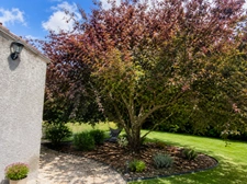 Magnifique maison de campagne avec dépendances 8 pièces sur plus de 2 hectares à JUSSY LE CHAUDRIER (18) proche NEVERS, LA CHARITE-SUR-LOIRE, POUILLY-SUR-LOIRE, COSNES