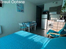Studio meublé rénové avec balcon & vue Étang de Thau - BALARUC LES BAINS (34)