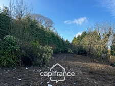 Longère en pierre à rénover avec dépendances et 6 000 m² de terrain