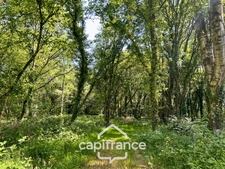PROPRIÉTÉ DE CARACTÈRE SUR PLUS DE 9 HECTARES – MAISON EN PIERRE DE 235 M², APPARTEMENT INDÉPENDANT, DÉPENDANCE EN PIERRE, PRAIRIES, BOIS ET TROIS ÉTANGS – PROCHE LOUDÉAC