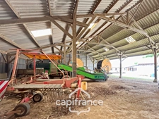 PROPERTY COMPRISING A HOUSE, A 360 M² SHED, NUMEROUS OUTBUILDINGS AND 6,280 M² OF LAND – SET IN NATURAL SURROUNDINGS IN KERFOURN, NEAR PONTIVY