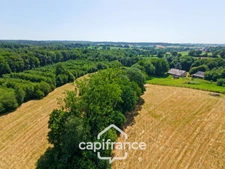 PROPRIÉTÉ DE CARACTÈRE SUR PLUS DE 9 HECTARES – MAISON EN PIERRE DE 235 M², APPARTEMENT INDÉPENDANT, DÉPENDANCE EN PIERRE, PRAIRIES, BOIS ET TROIS ÉTANGS – PROCHE LOUDÉAC