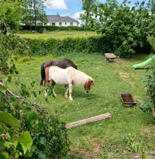 Maison à vendre 5 pièces LA MOTTE SAINT JEAN (71)